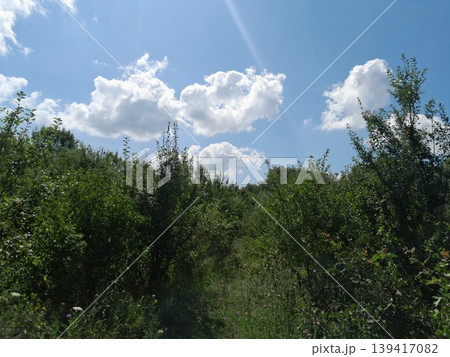 Fluffy white clouds over landscape on a sunny day Fluffy white clouds over landscape on a sunny day 139417082