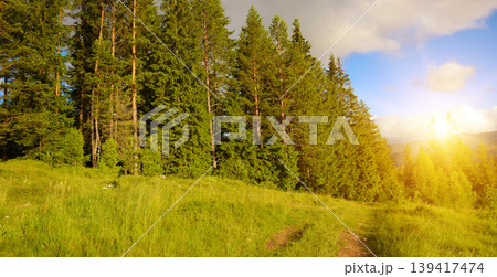 Warm Evening Glow Across Mountainous Woodland 139417474