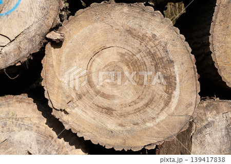 Pile of wood logs, closeup of clean cut of chopped firewood logs. Natural wooden background 139417838