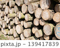 Pile of wood logs, closeup of clean cut of chopped firewood logs. Natural wooden background 139417839