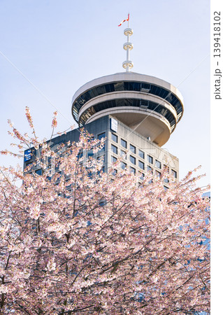 バンクーバー・ルックアウトと桜 139418102