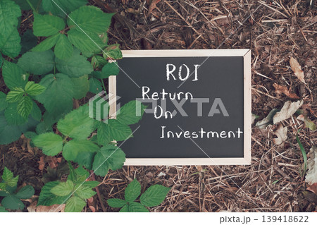 Understanding ROI Return on Investment Explained 139418622
