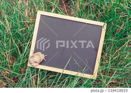 Snail on a Chalkboard Surrounded by Grass 139418633