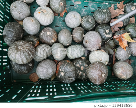 Crate full of squashed pumpkins 139418656