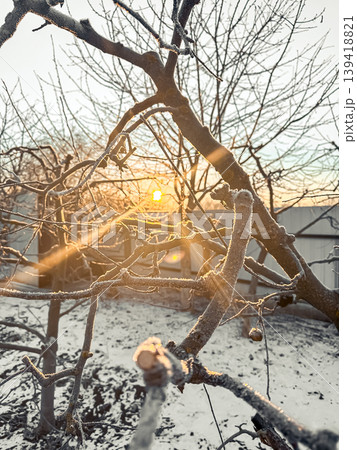 Frost-covered branches glisten in the sunlight as the sun rises behind a winter landscape, creating a serene and tranquil atmosphere in nature Frost-covered branches glisten in the sunlight as the sun rises behind a winter landscape, creating a serene and tranquil atmosphere in nature 139418821