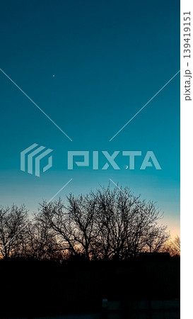 Silhouetted trees against a vibrant twilight sky with a crescent moon and a bright star, creating a serene and tranquil evening atmosphere Silhouetted trees against a vibrant twilight sky with a crescent moon and a bright star, creating a serene and tranquil evening atmosphere 139419151