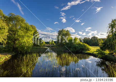 Tranquil spring lake landscape green trees grass meadow summer nature outdoors park background peaceful water reflection scenic woodland environment serene riverside vista bright scenery Tranquil spring lake landscape green trees grass meadow summer nature outdoors park background peaceful water reflection scenic woodland environment serene riverside vista bright scenery 139419396