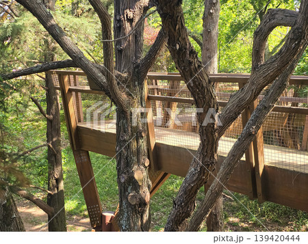 A wooden pedestrian bridge spans the trees of Seralves Park in Porto, Portugal. Concepts include green infrastructure, nature conservation, and sustainable tourism. A wooden pedestrian bridge spans the trees of Seralves Park in Porto, Portugal. Concepts include green infrastructure, nature conservation, and sustainable tourism. 139420444