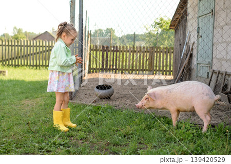 A cute little girl in the yard is looking at a pet pig. Childhood in a village with farm animals 139420529