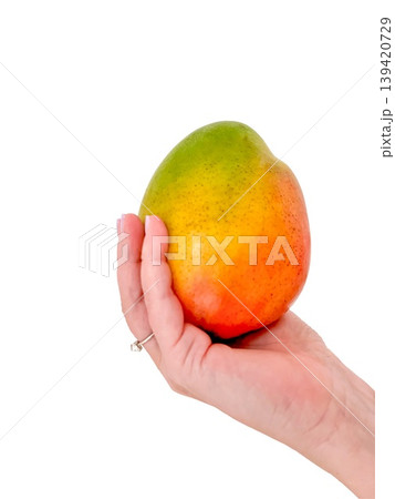 Close up of woman hand holding ripe mango isolated on transparent background, fresh tropical fruit with natural skin texture, healthy food ingredient, juicy exotic produce Close up of woman hand holding ripe mango isolated on transparent background, fresh tropical fruit with natural skin texture, healthy food ingredient, juicy exotic produce 139420729