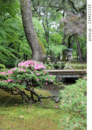 春の兼六園 春の兼六園 139421318
