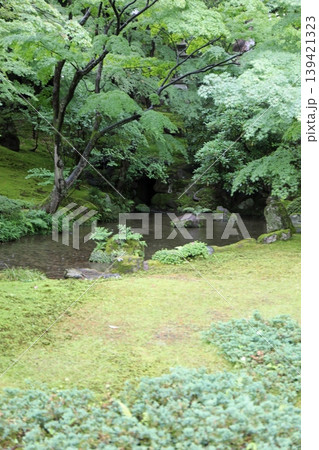 春の兼六園 春の兼六園 139421323