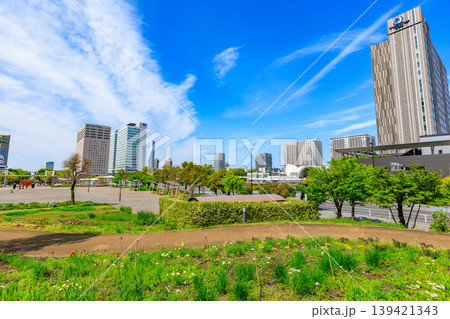 東京 江東区 有明 シンボルプロムナード公園(花の広場) 東京 江東区 有明 シンボルプロムナード公園(花の広場) 139421343