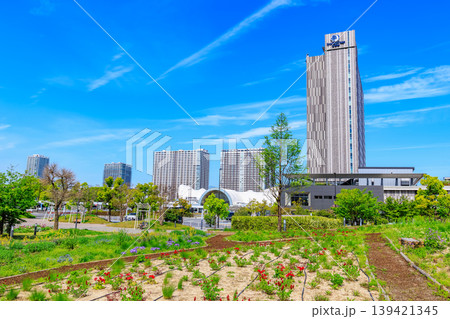 東京 江東区 有明 シンボルプロムナード公園(花の広場) 東京 江東区 有明 シンボルプロムナード公園(花の広場) 139421345