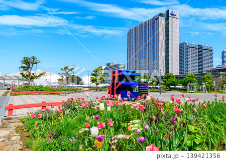 東京　江東区 有明　シンボルプロムナード公園（花の広場） 139421356