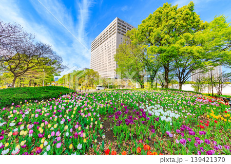 東京 江東区 有明 シンボルプロムナード公園(センタープロムナード) 東京 江東区 有明 シンボルプロムナード公園(センタープロムナード) 139421370