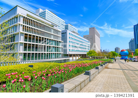 東京 江東区 有明 シンボルプロムナード公園(センタープロムナード) 東京 江東区 有明 シンボルプロムナード公園(センタープロムナード) 139421391