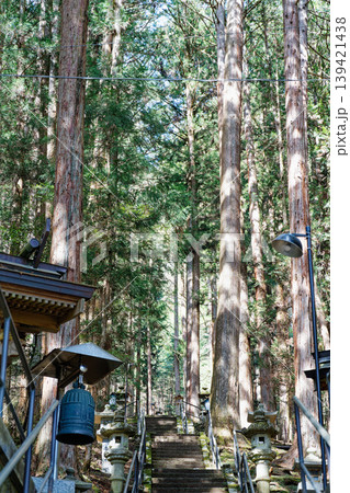 杉林に続く山の参道と石段 杉林に続く山の参道と石段 139421438
