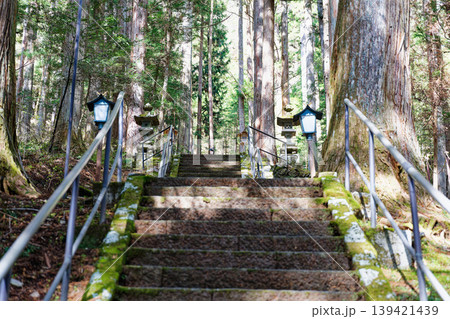 山の中の参道と杉林の石段 山の中の参道と杉林の石段 139421439