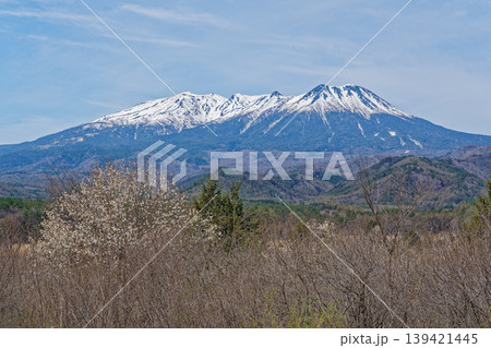 春の花と残雪の御嶽山 139421445