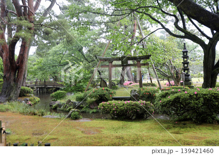 春の兼六園 139421460