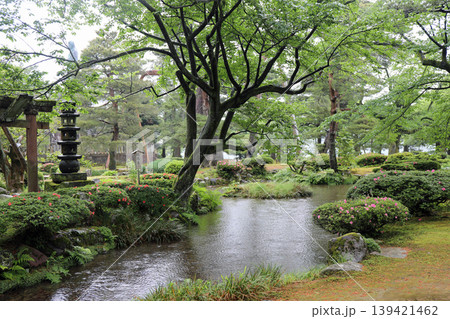 春の兼六園 139421462