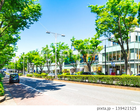 東京 新緑の表参道 東京 新緑の表参道 139421525