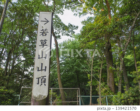 木漏れ日誘う、若草山山頂への道しるべ 木漏れ日誘う、若草山山頂への道しるべ 139421570