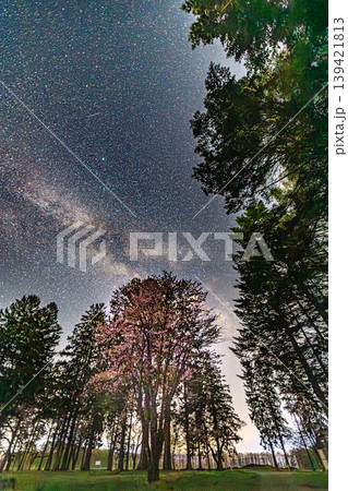 夜桜と天の川が彩る幻想的な春の星空 139421813