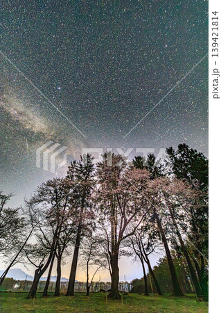 満天の星と夜桜が織りなす春の銀河風景 139421814