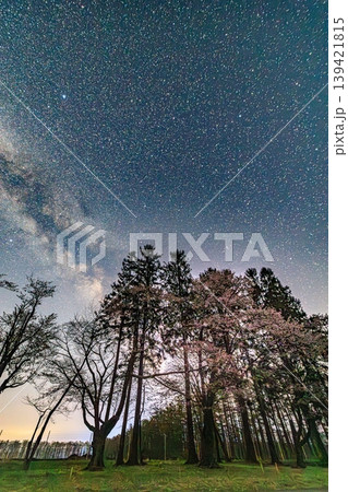 星空の下で咲く夜桜と天の川の絶景 139421815