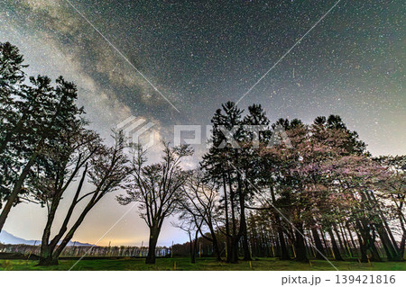 春の夜空に広がる天の川と夜桜 春の夜空に広がる天の川と夜桜 139421816