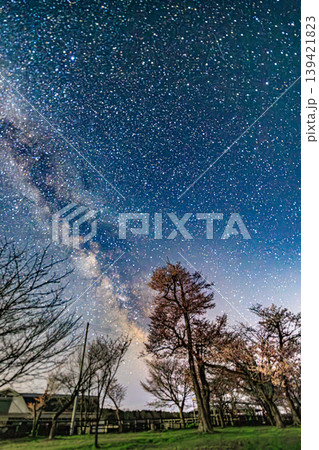 満開の夜桜と天の川が輝く夜景 139421823