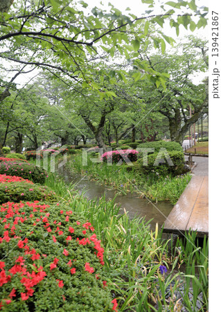 春の兼六園 春の兼六園 139421867