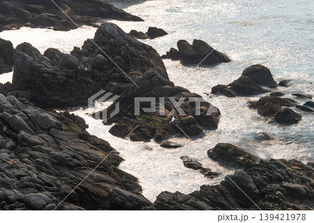 屋久島神が宿る島 環境エコのイメージ画像(春 屋久島神が宿る島 環境エコのイメージ画像(春 139421978