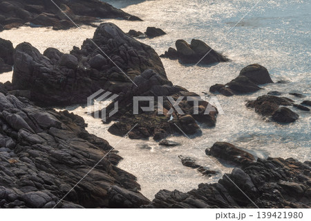 屋久島神が宿る島　環境エコのイメージ画像(春 139421980