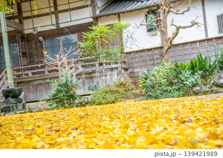 イチョウの落ち葉の絨毯がきれいな寺社仏閣のイメージ イチョウの落ち葉の絨毯がきれいな寺社仏閣のイメージ 139421989