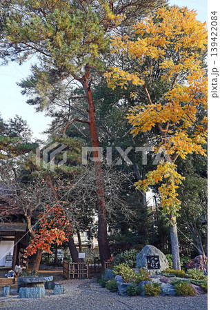 祇園寺（調布） 139422084