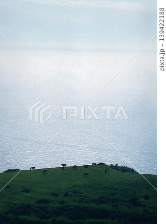 西ノ島 国賀海岸 摩天崖展望台より放牧風景 西ノ島 国賀海岸 摩天崖展望台より放牧風景 139422188