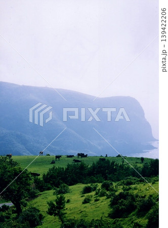 隠岐西ノ島　国賀海岸　摩天崖展望台より放牧風景 139422206