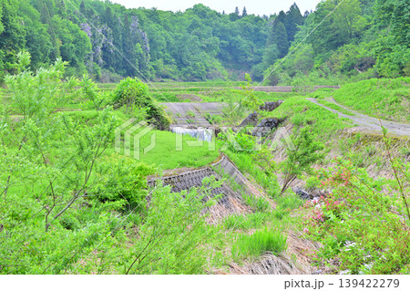 当間高原の麓の棚田 新緑の沢伝いの風景 新潟県十日町市 当間高原の麓の棚田 新緑の沢伝いの風景 新潟県十日町市 139422279