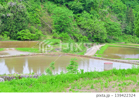 当間高原の麓の棚田 新緑の田植え時の風景 新潟県十日町市 当間高原の麓の棚田 新緑の田植え時の風景 新潟県十日町市 139422324