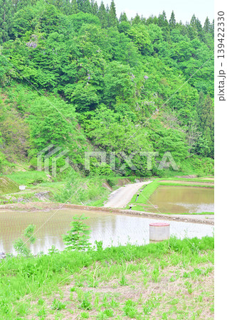 当間高原の麓の棚田 新緑の田植え時の風景 新潟県十日町市 当間高原の麓の棚田 新緑の田植え時の風景 新潟県十日町市 139422330