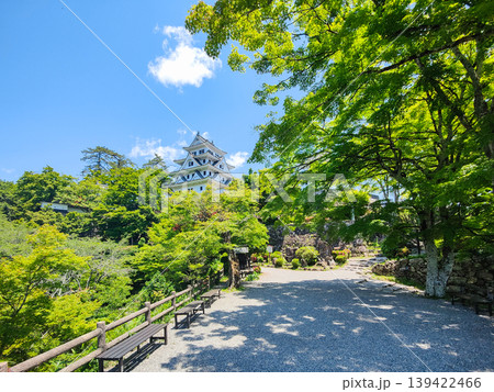 郡上八幡城 郡上八幡城 139422466