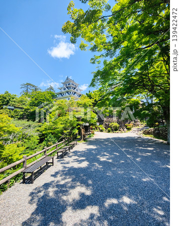 郡上八幡城 郡上八幡城 139422472