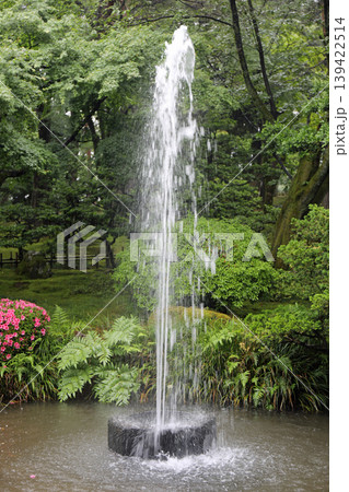 春の兼六園 春の兼六園 139422514