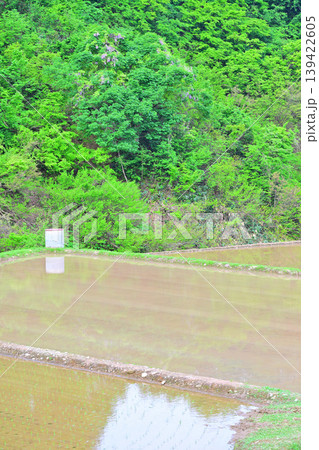 当間高原の麓の棚田 新緑の田植え時の風景 新潟県十日町市 当間高原の麓の棚田 新緑の田植え時の風景 新潟県十日町市 139422605