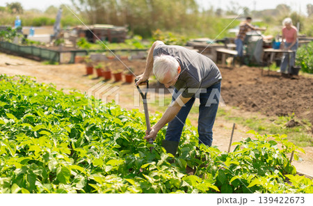 Elderly man with shovel working on farm field Elderly man with shovel working on farm field 139422673