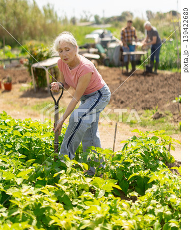 Elderly woman with shovel working on farm field Elderly woman with shovel working on farm field 139422680
