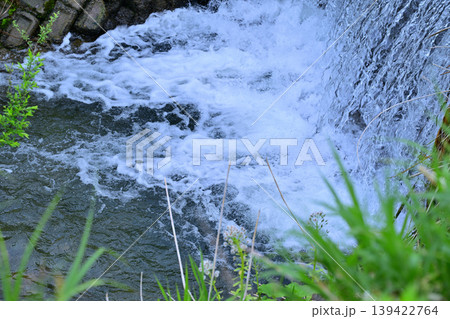 当間高原の麓 新緑の沢伝いの風景 新潟県十日町市 当間高原の麓 新緑の沢伝いの風景 新潟県十日町市 139422764